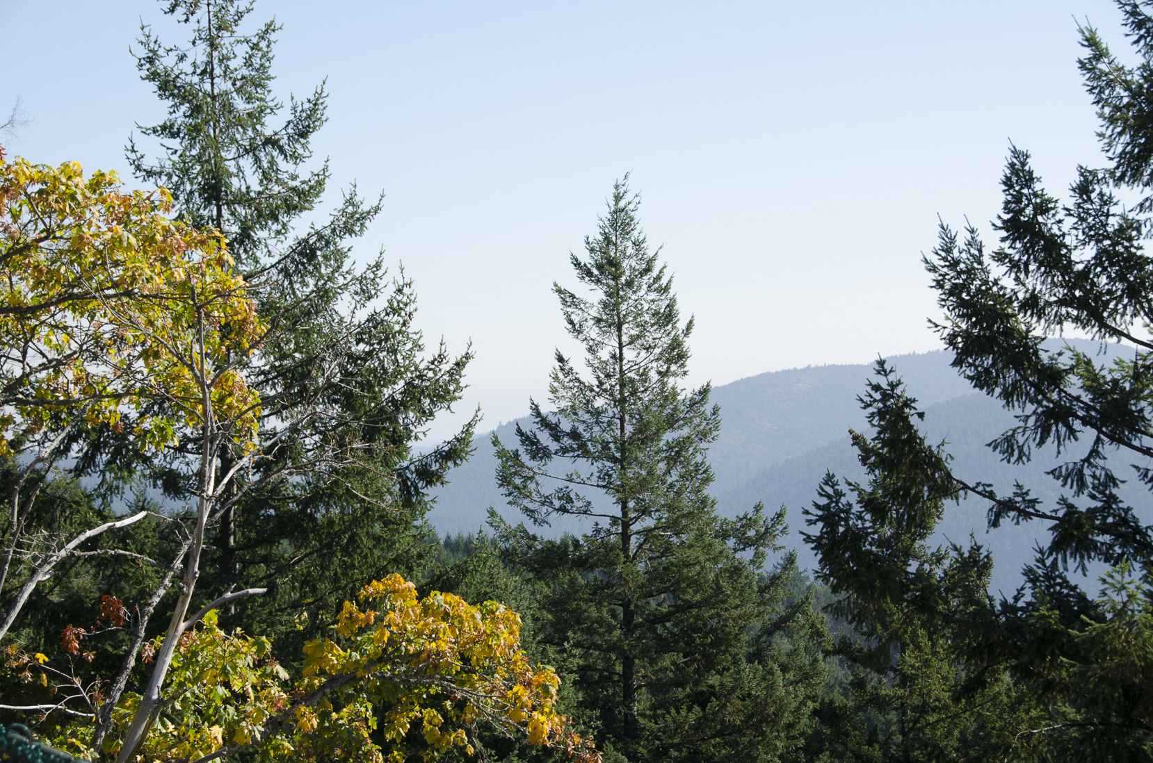 _D702566.jpg