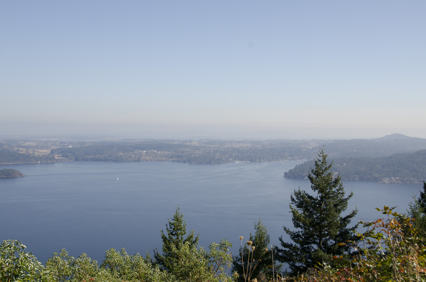 _D702571.jpg