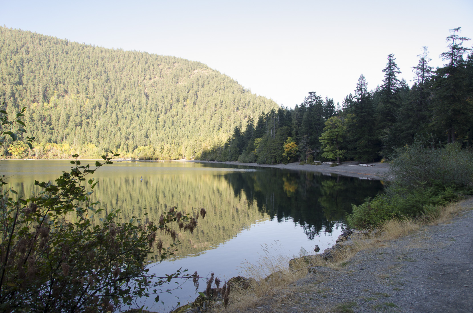 _D702578.jpg