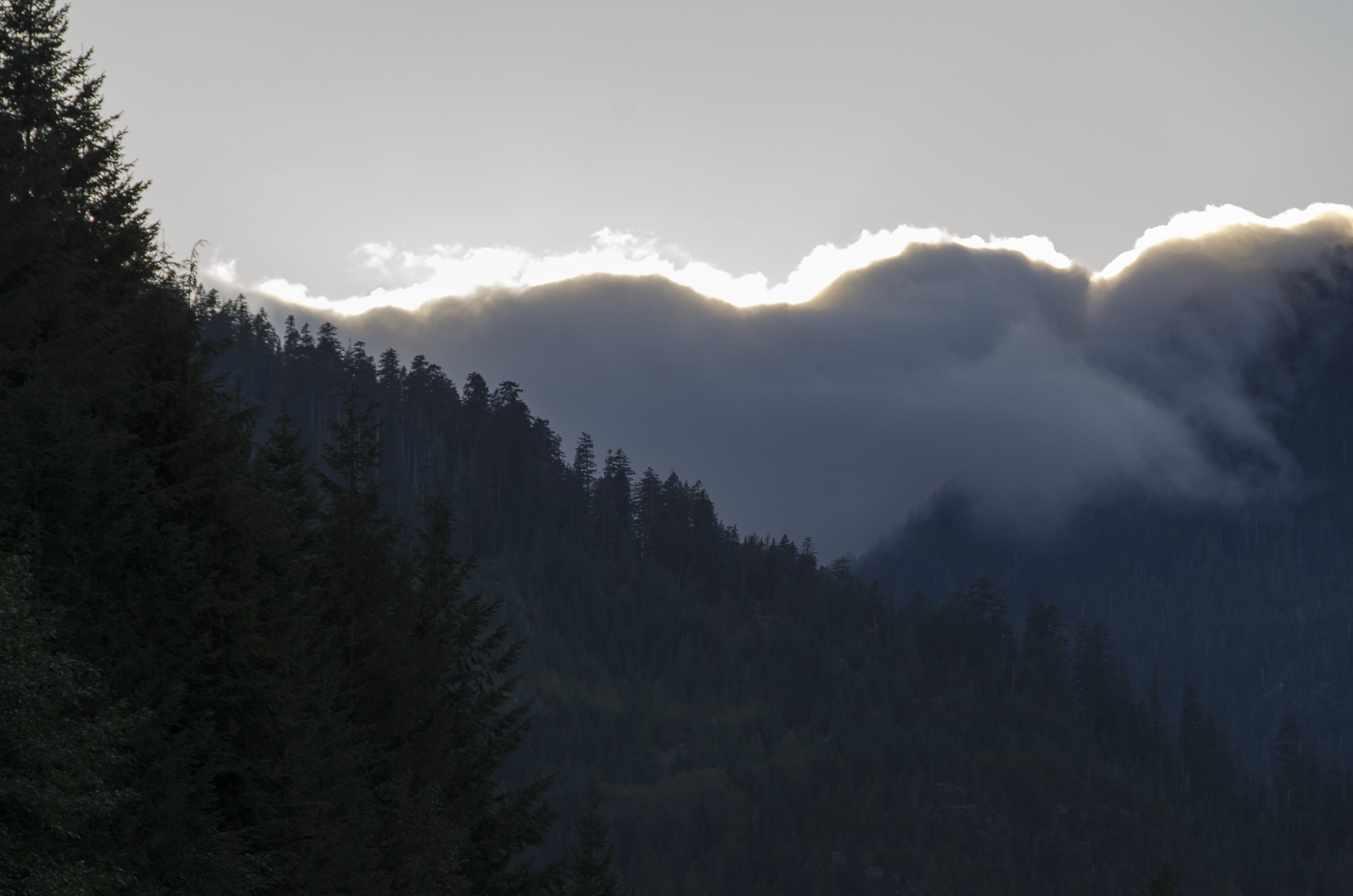 _D702616.jpg