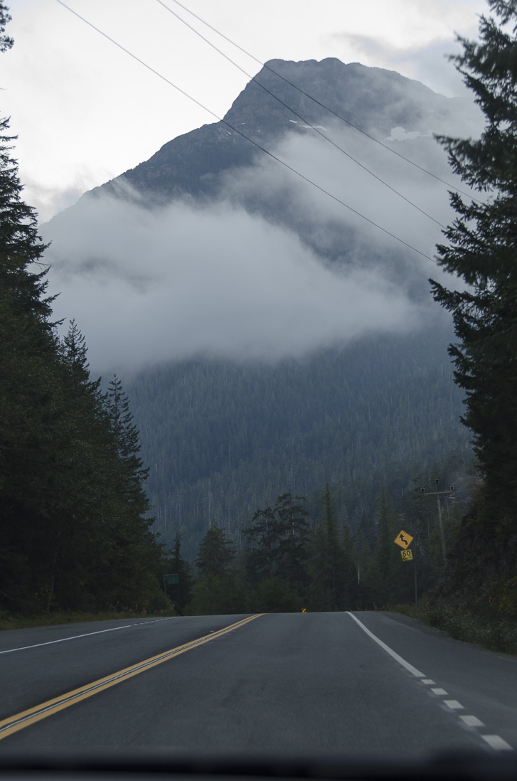 _D702627.jpg