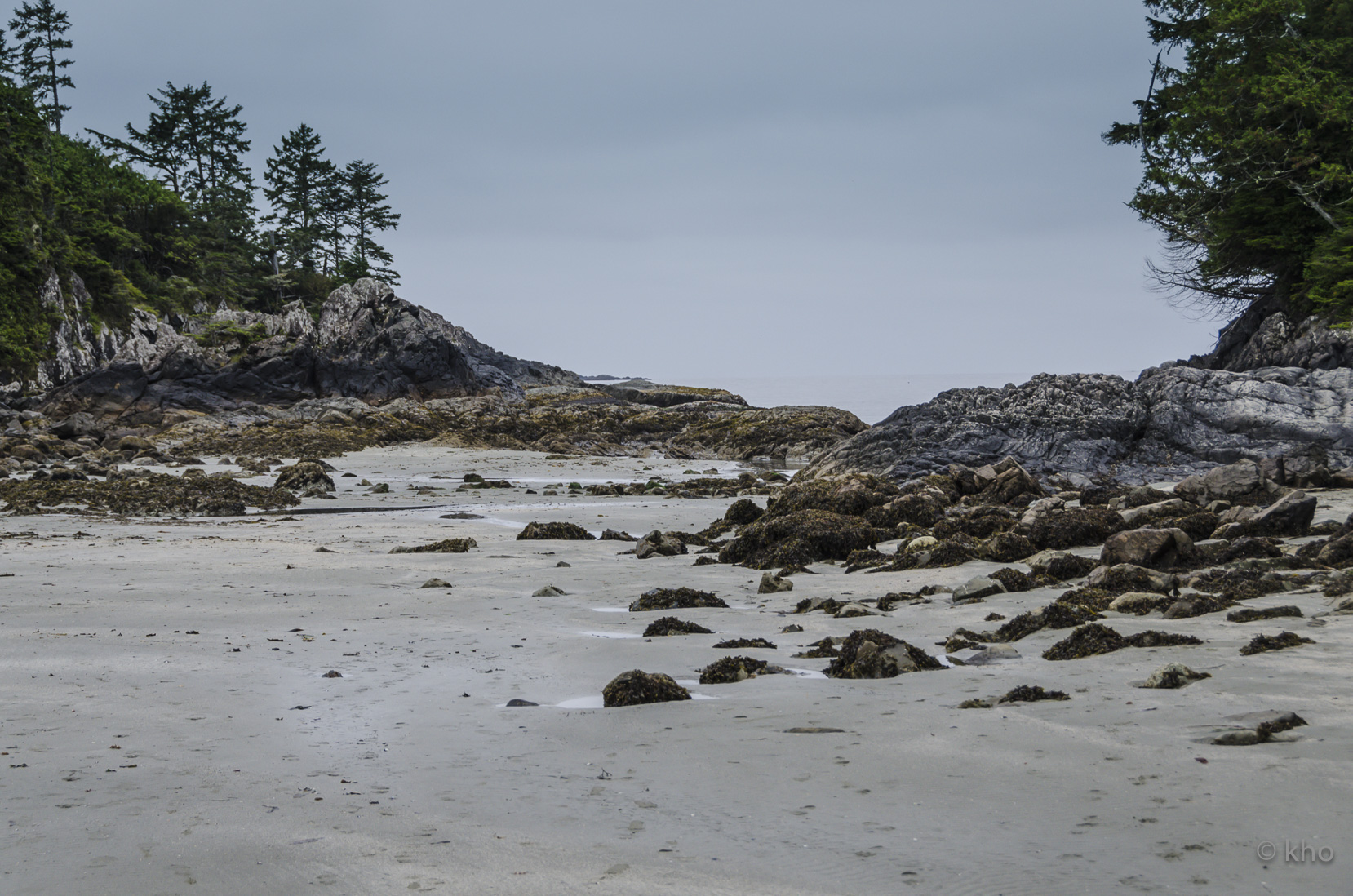 _D702663.jpg