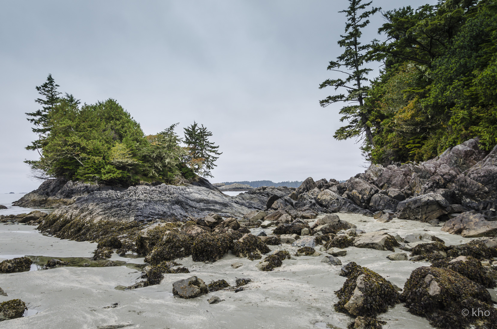 _D702665.jpg