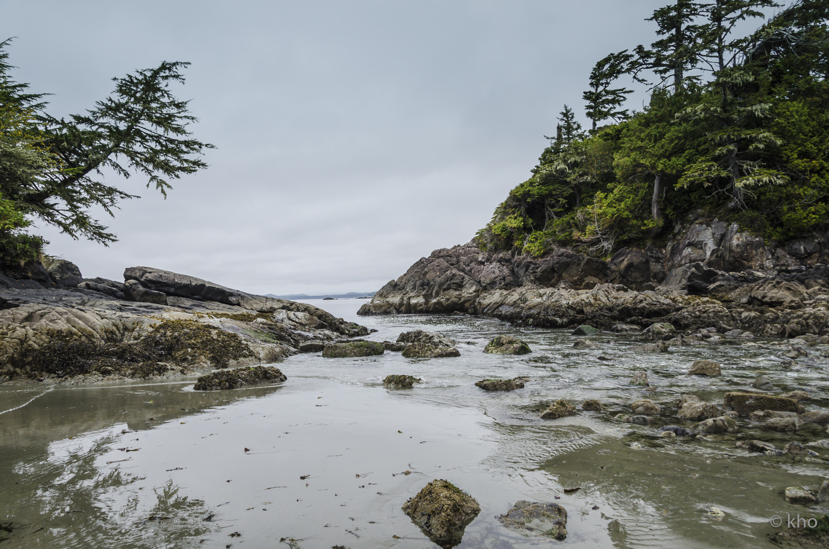 _D702668.jpg