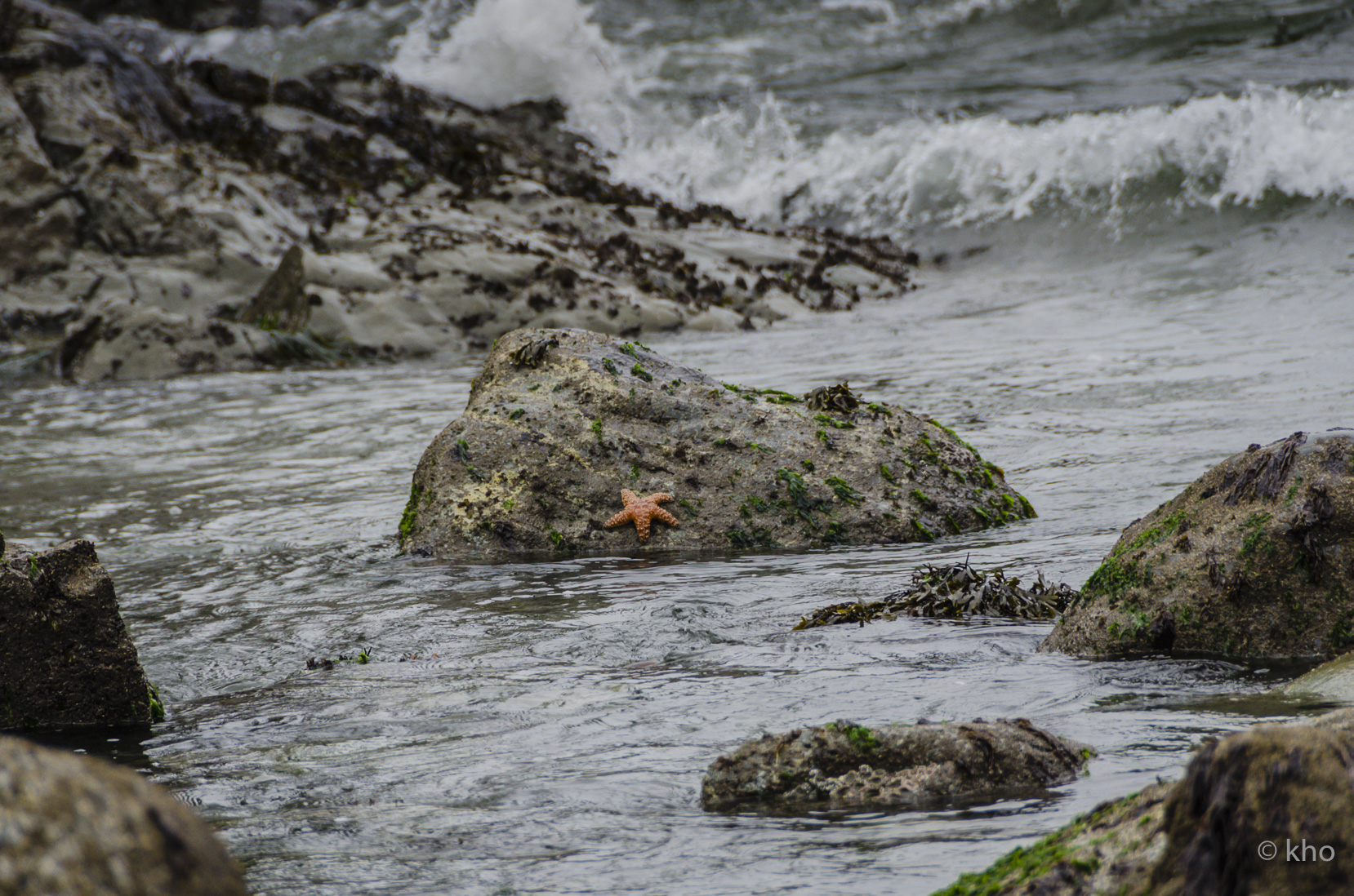 _D702678.jpg