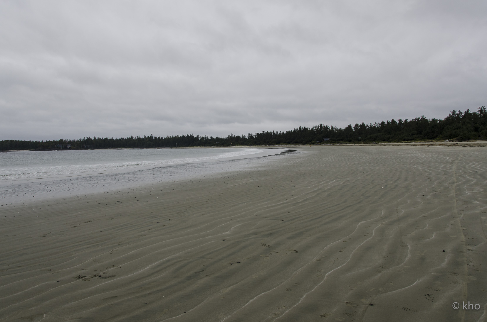 _D702697.jpg
