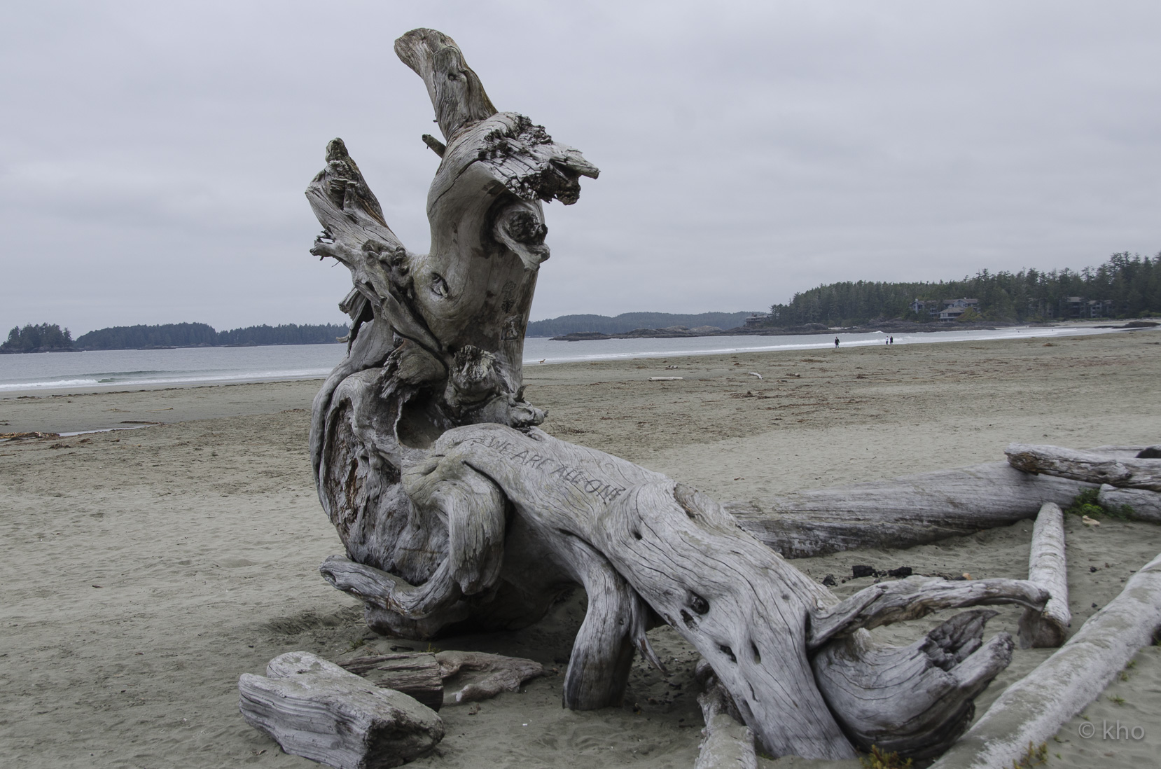 _D702723.jpg