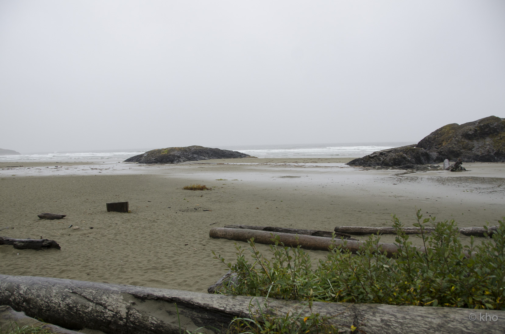 _D702746.jpg