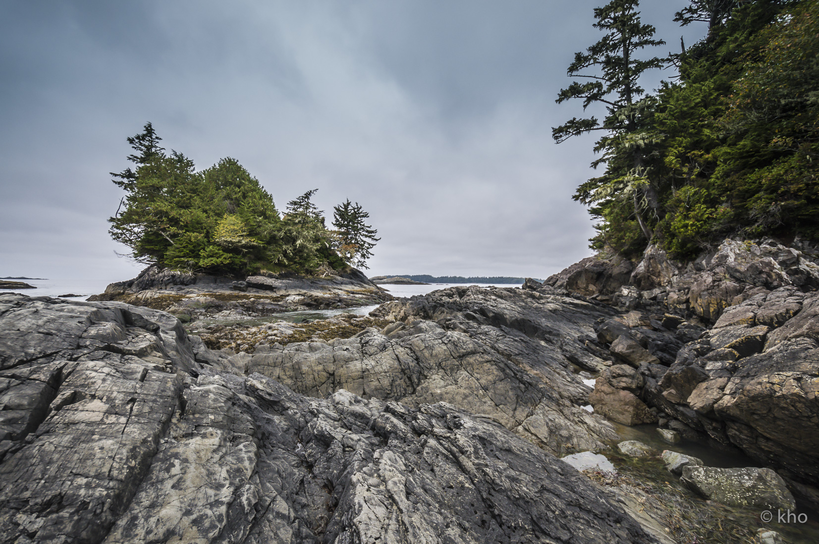 _DSC2526.jpg