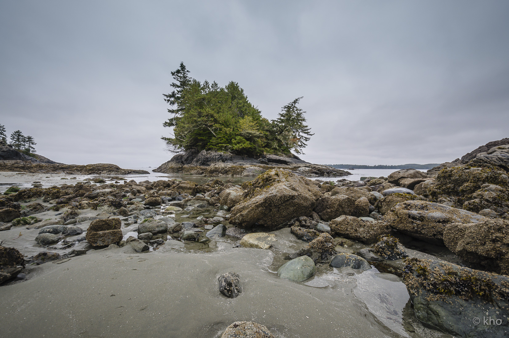 _DSC2529.jpg