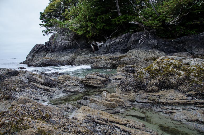 Kanada - Vancouver Island