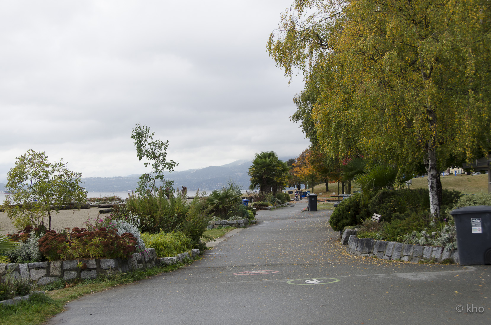 _D702812.jpg
