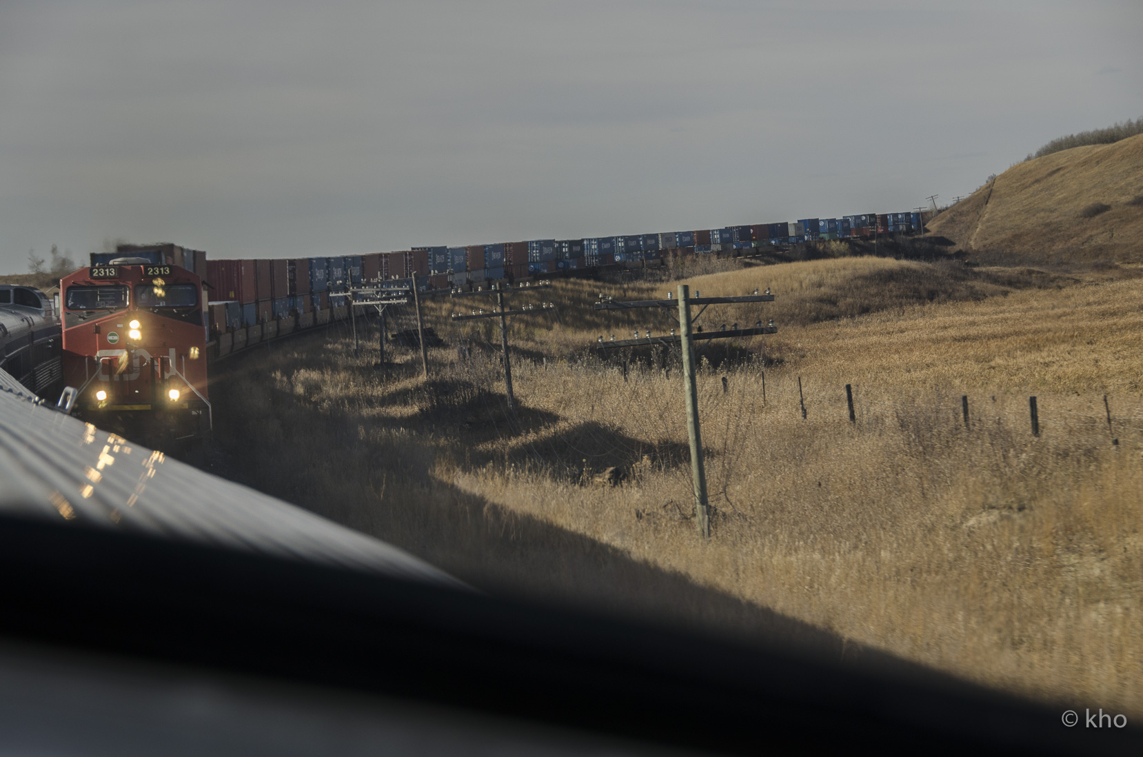 _D701754.jpg