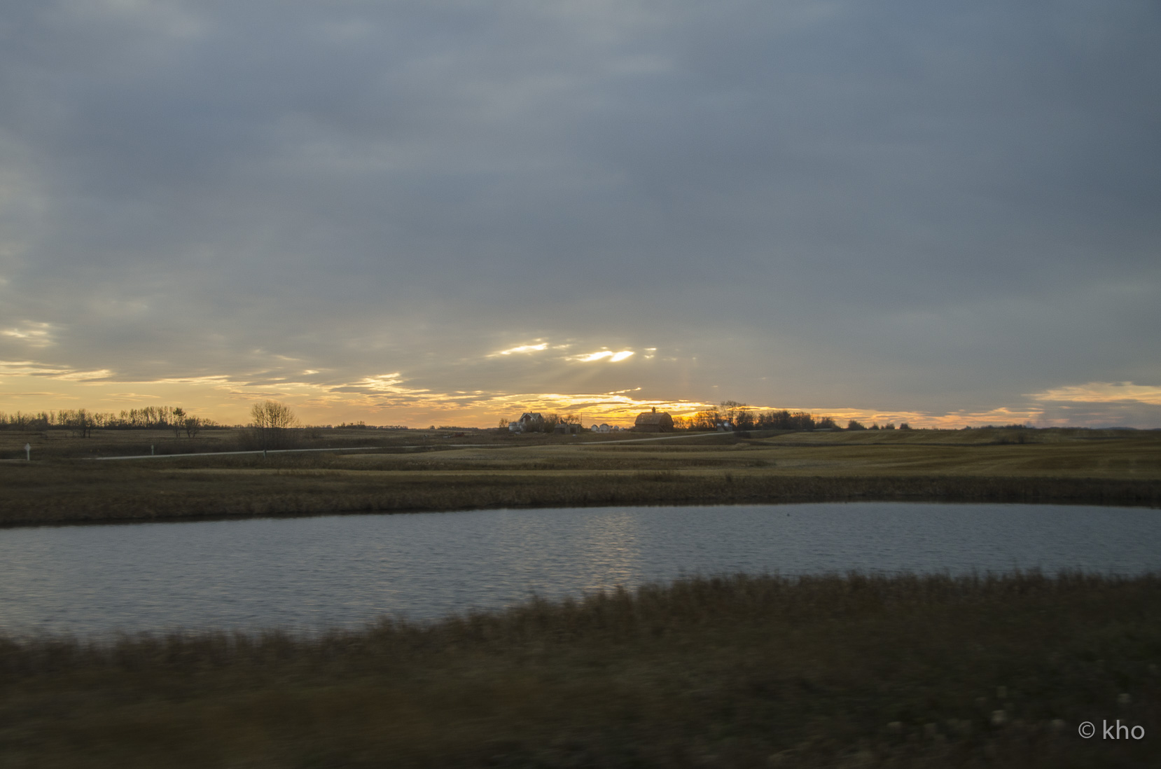 _D701784.jpg