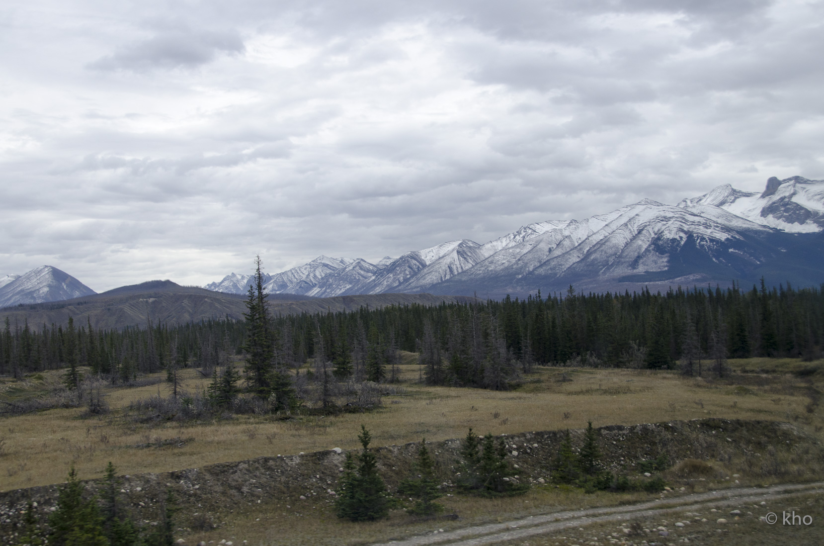 _D702000.jpg