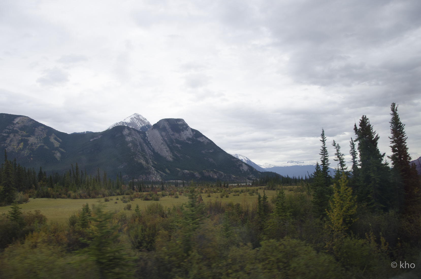 _D702048.jpg