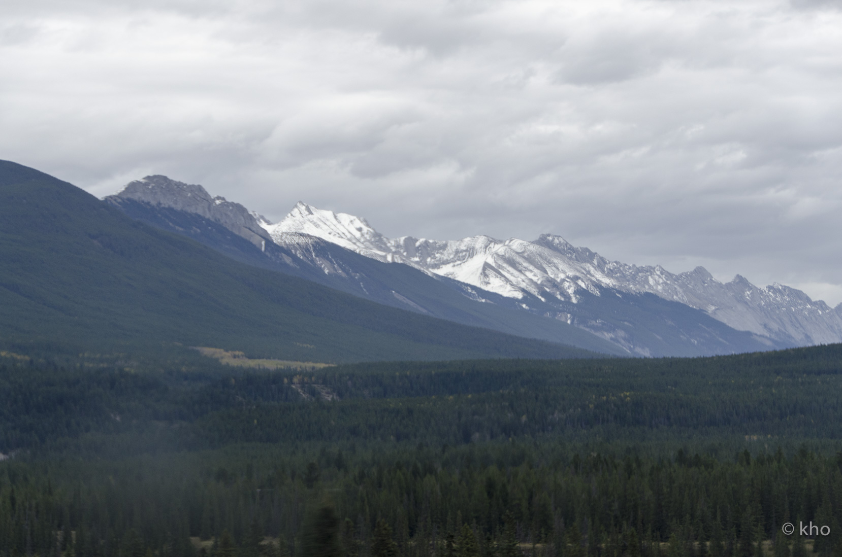 _D702078.jpg