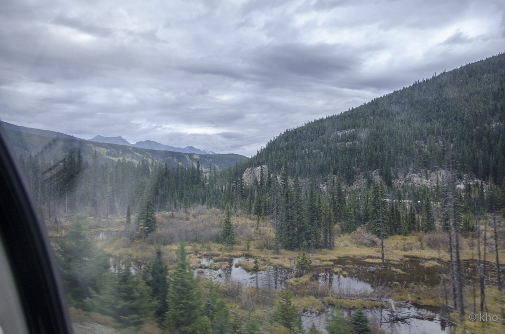 _D702130.jpg