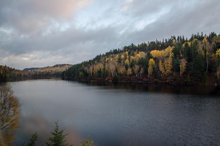 _D701602.jpg _D701602.jpg