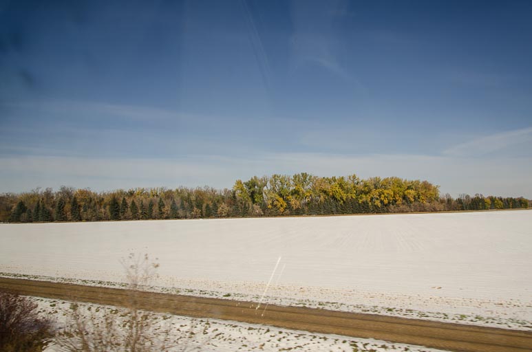 _D701743.jpg _D701743.jpg