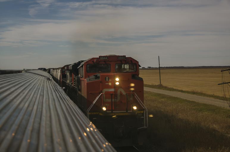 _D701751.jpg _D701751.jpg