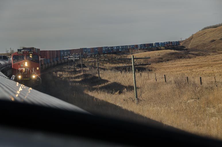 _D701754.jpg _D701754.jpg