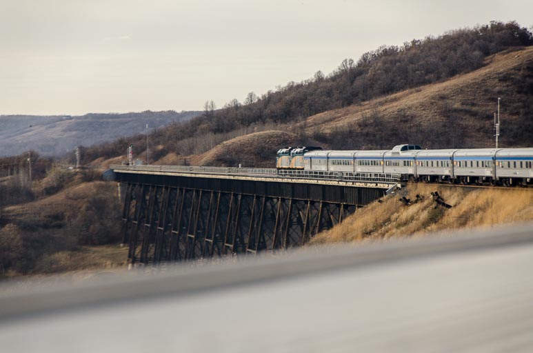 _D701761.jpg _D701761.jpg