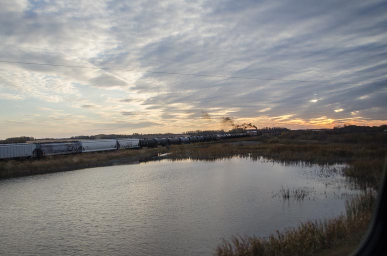 _D701777.jpg _D701777.jpg