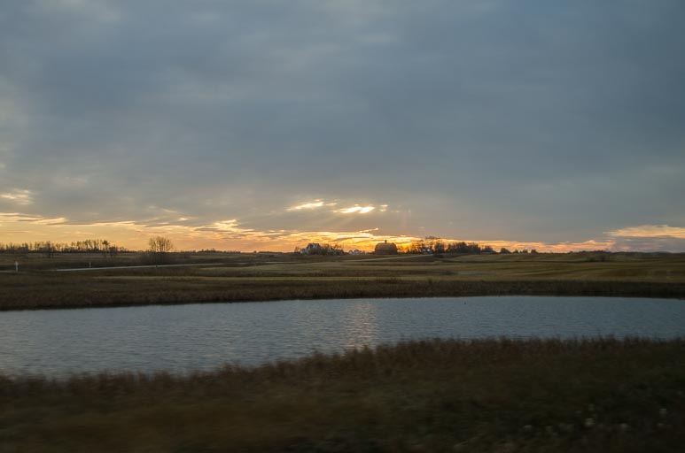 _D701784.jpg _D701784.jpg