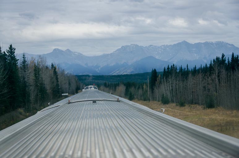 _D701858.jpg _D701858.jpg