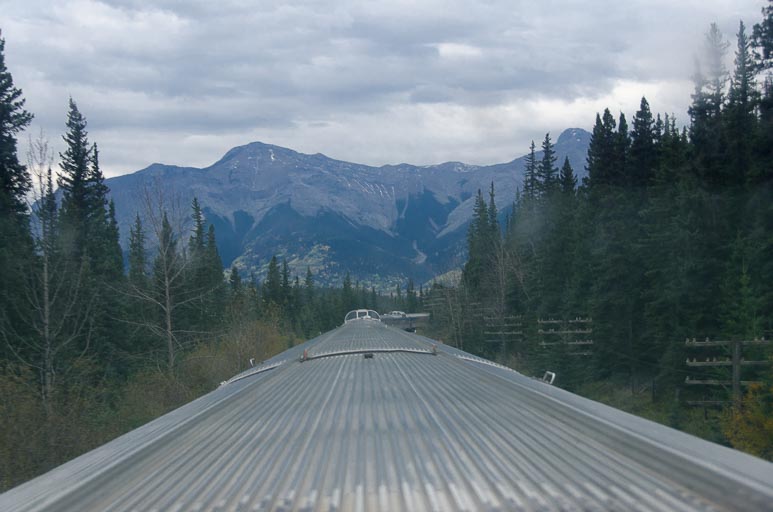 _D701873.jpg _D701873.jpg