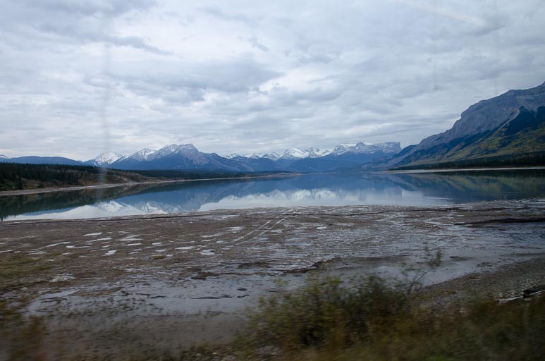 _D701878.jpg _D701878.jpg