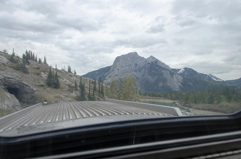 _D701921.jpg _D701921.jpg