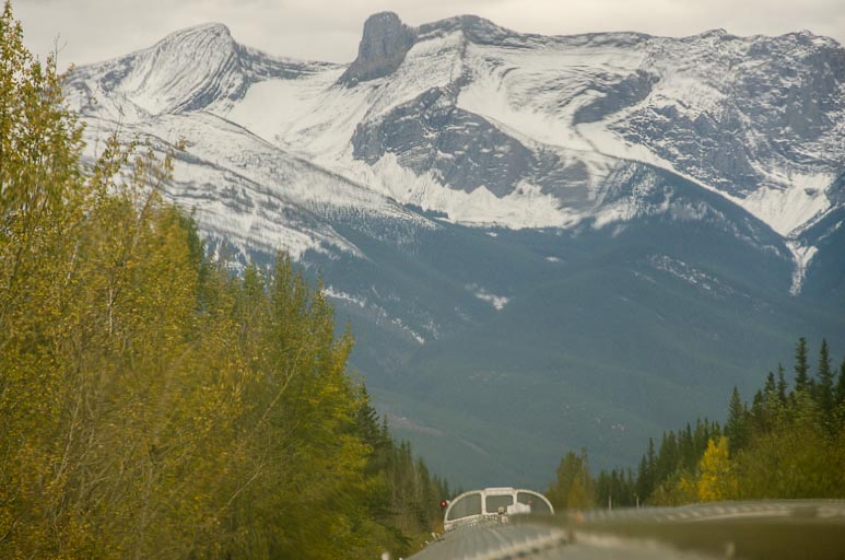 _D701971.jpg _D701971.jpg