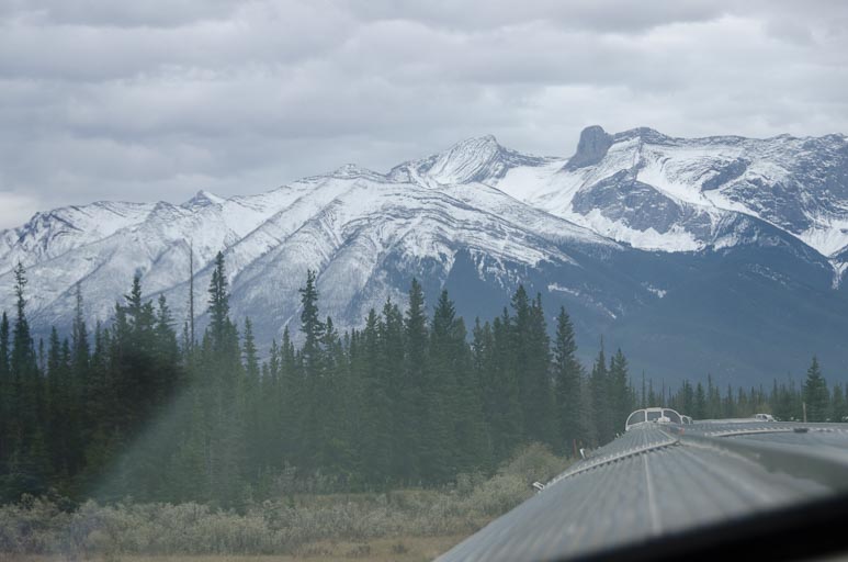 _D701982.jpg _D701982.jpg