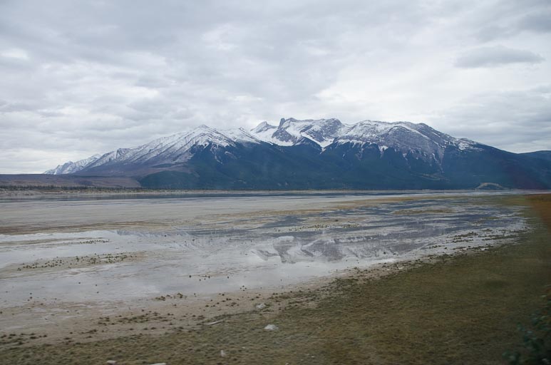 _D702017.jpg _D702017.jpg