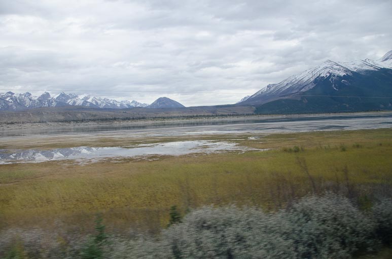 _D702025.jpg _D702025.jpg