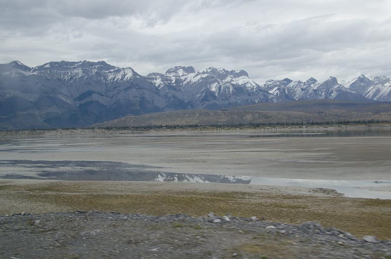 _D702029.jpg _D702029.jpg