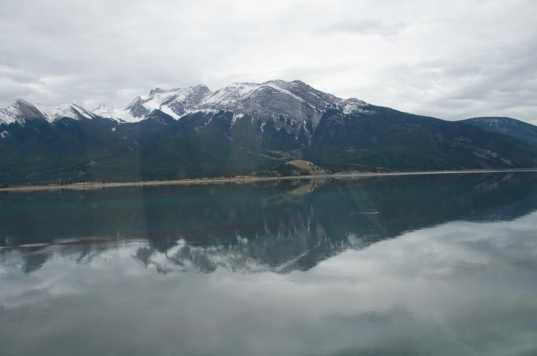 _D702031.jpg _D702031.jpg