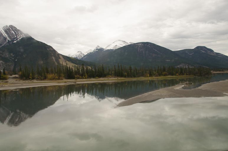 _D702045.jpg _D702045.jpg