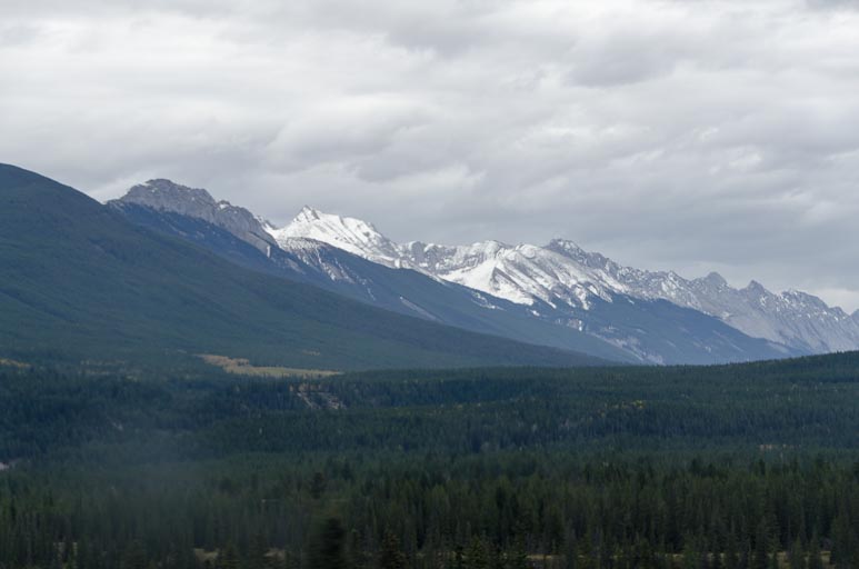 _D702078.jpg _D702078.jpg