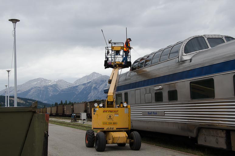 _D702087.jpg _D702087.jpg