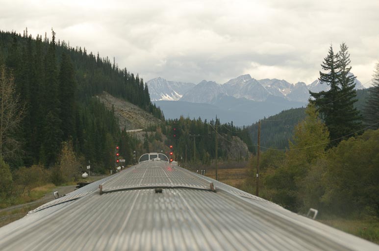 _D702118.jpg _D702118.jpg