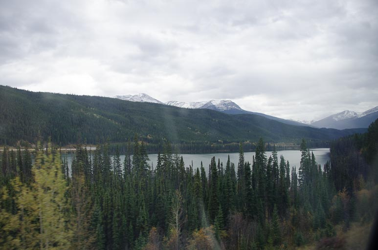 _D702134.jpg _D702134.jpg