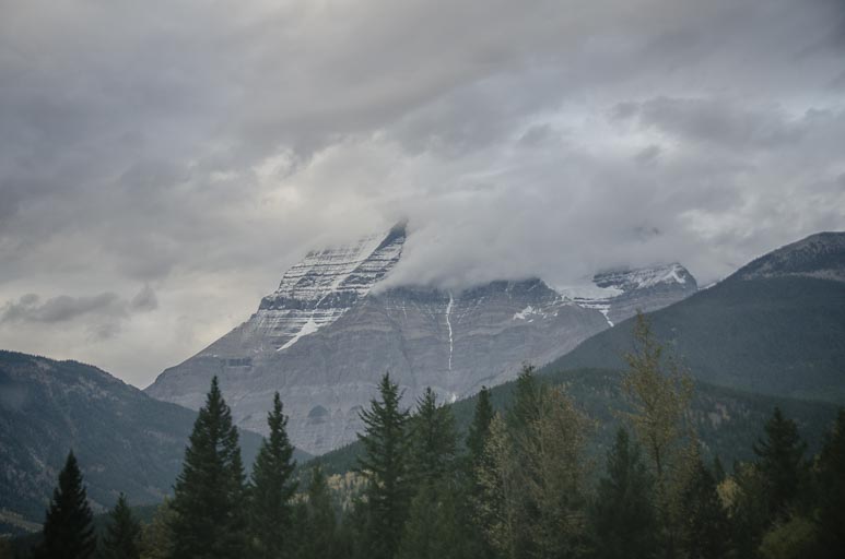 _D702200.jpg _D702200.jpg