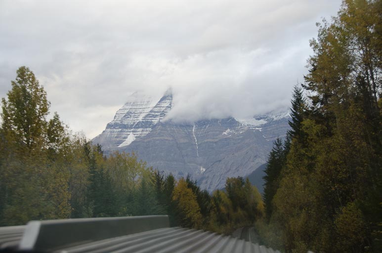 _D702207.jpg _D702207.jpg