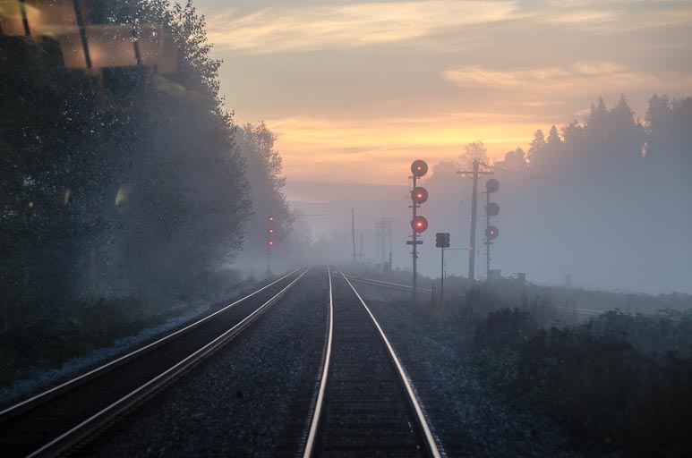 _D702226.jpg _D702226.jpg