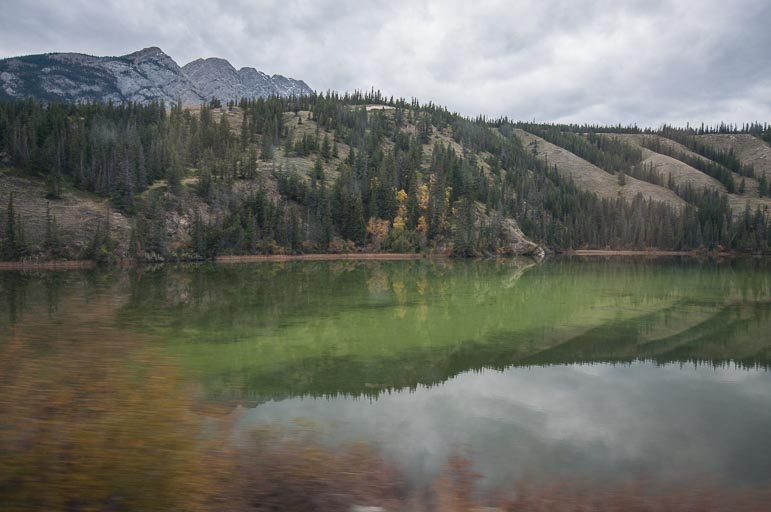 _DSC2485.jpg _DSC2485.jpg