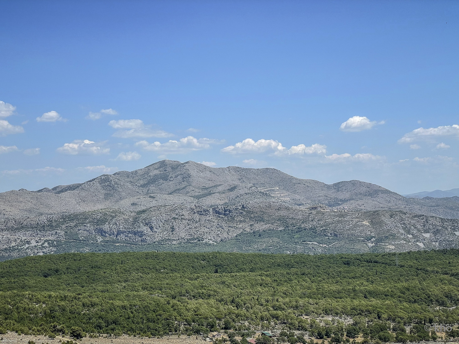 IMG_1729.jpg