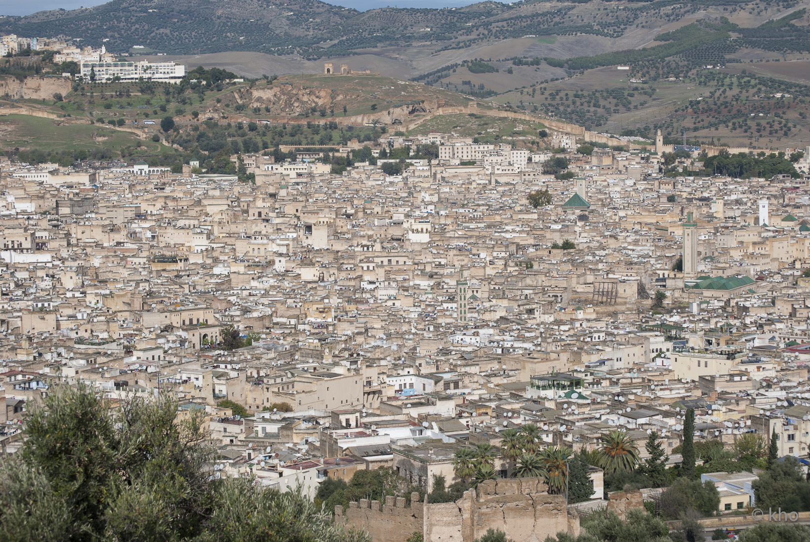 DSC_9368.jpg